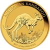Picture of 1/10oz 24k Gold Australian Kangaroo - Varied Years